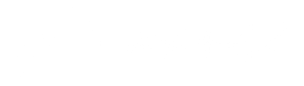 APEX SKI BOOTS