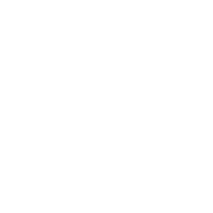 apex ski boots - 5 star support