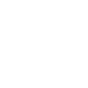 apex ski boots - award winning